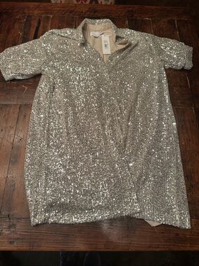 Every Silver Sequin Short Sleeve Shift Dress – Sparkly Party Dress. Size Small